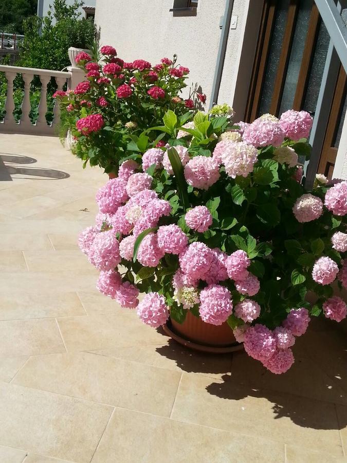 Ferienwohnung Azure Adriatic Kotor Exterior foto